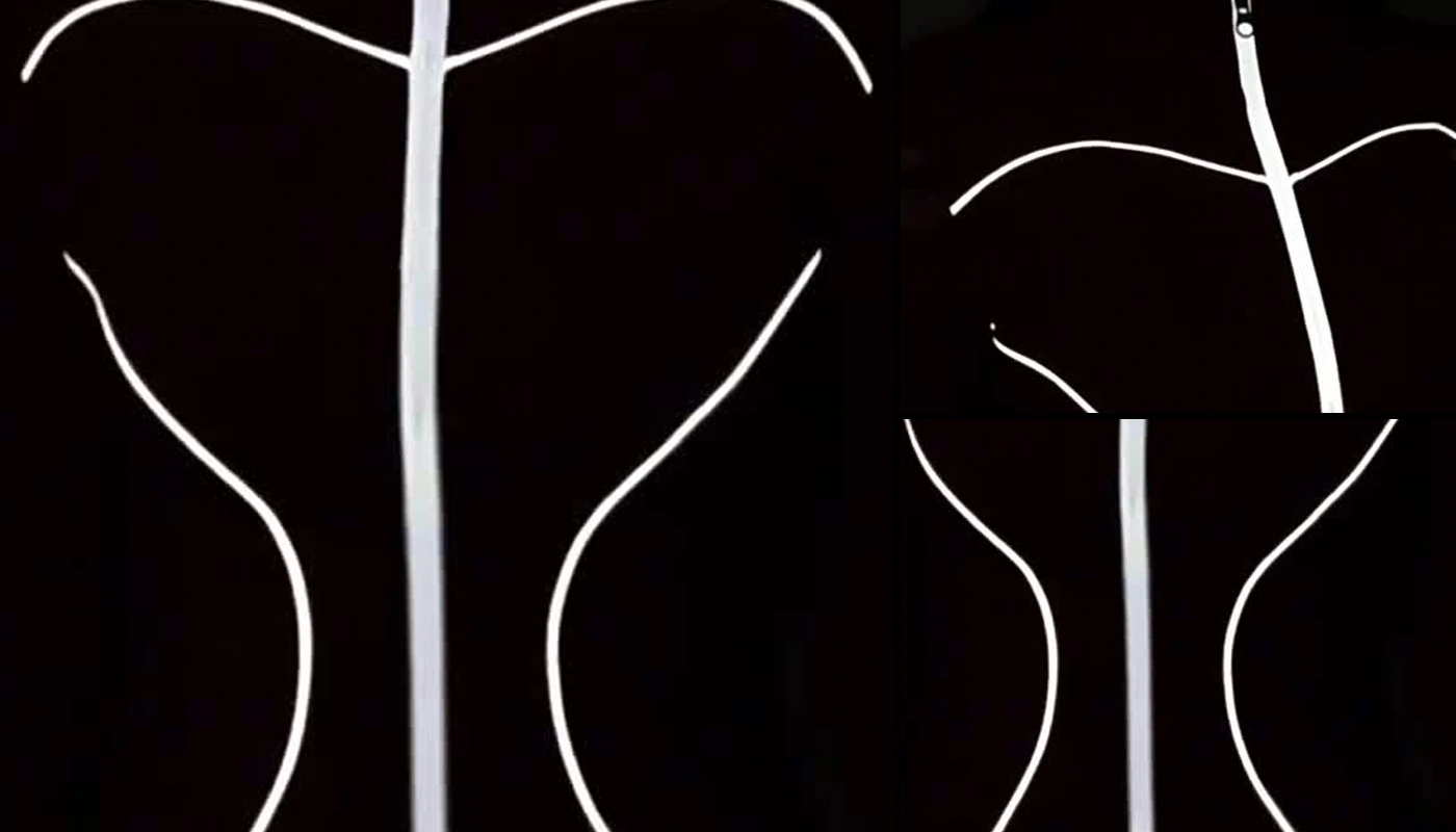 Reflective activewear logo under illuminated reflected condition
